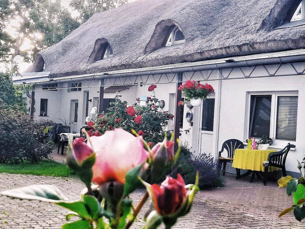 Reet Landhaus Ruegen Ummanz Ngoại thất bức ảnh