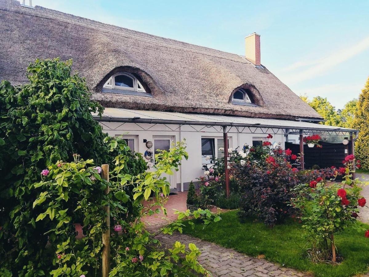 Reet Landhaus Ruegen Ummanz Ngoại thất bức ảnh